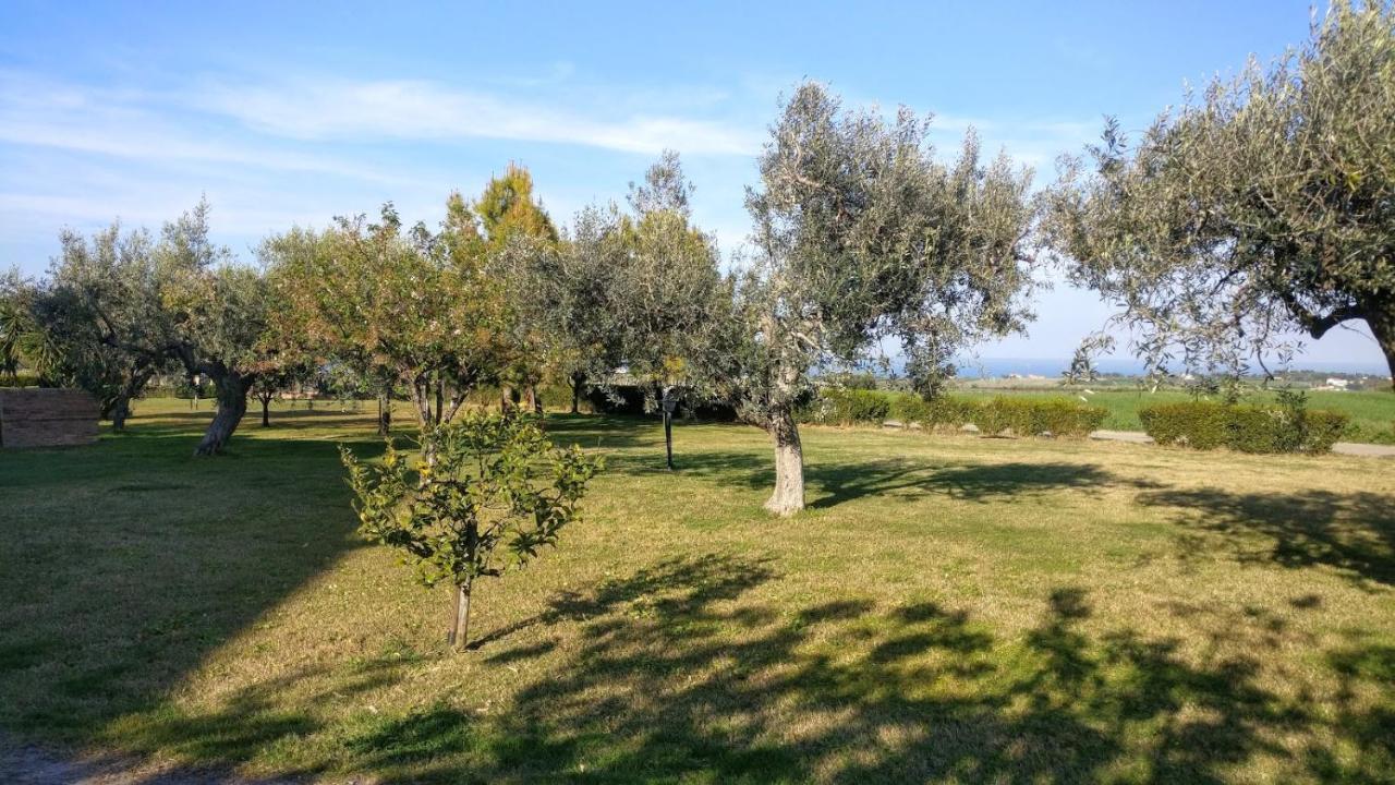 Punta Aderci Rooms Vasto Eksteriør billede